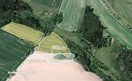 Prodej pole 247 m², Načeradec, okres Benešov