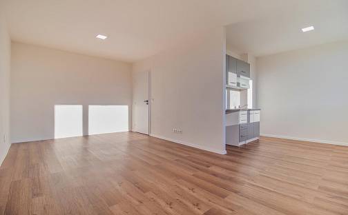 Pronájem bytu 1+kk 36 m², Javorová, Most