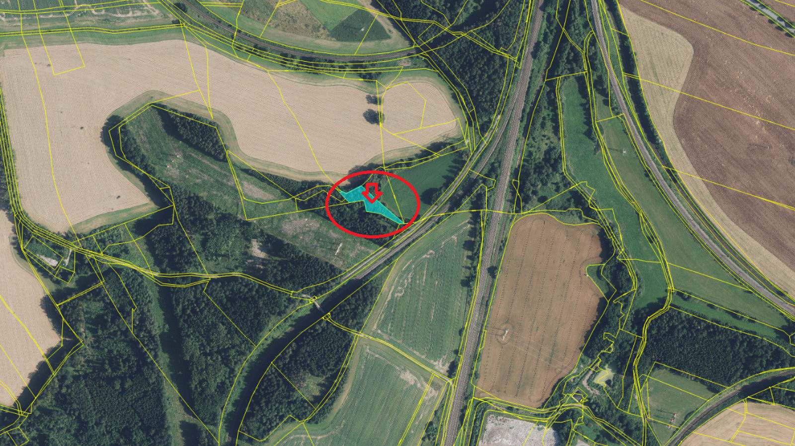 Prodej lesa 2 295 m² – fotografie 2