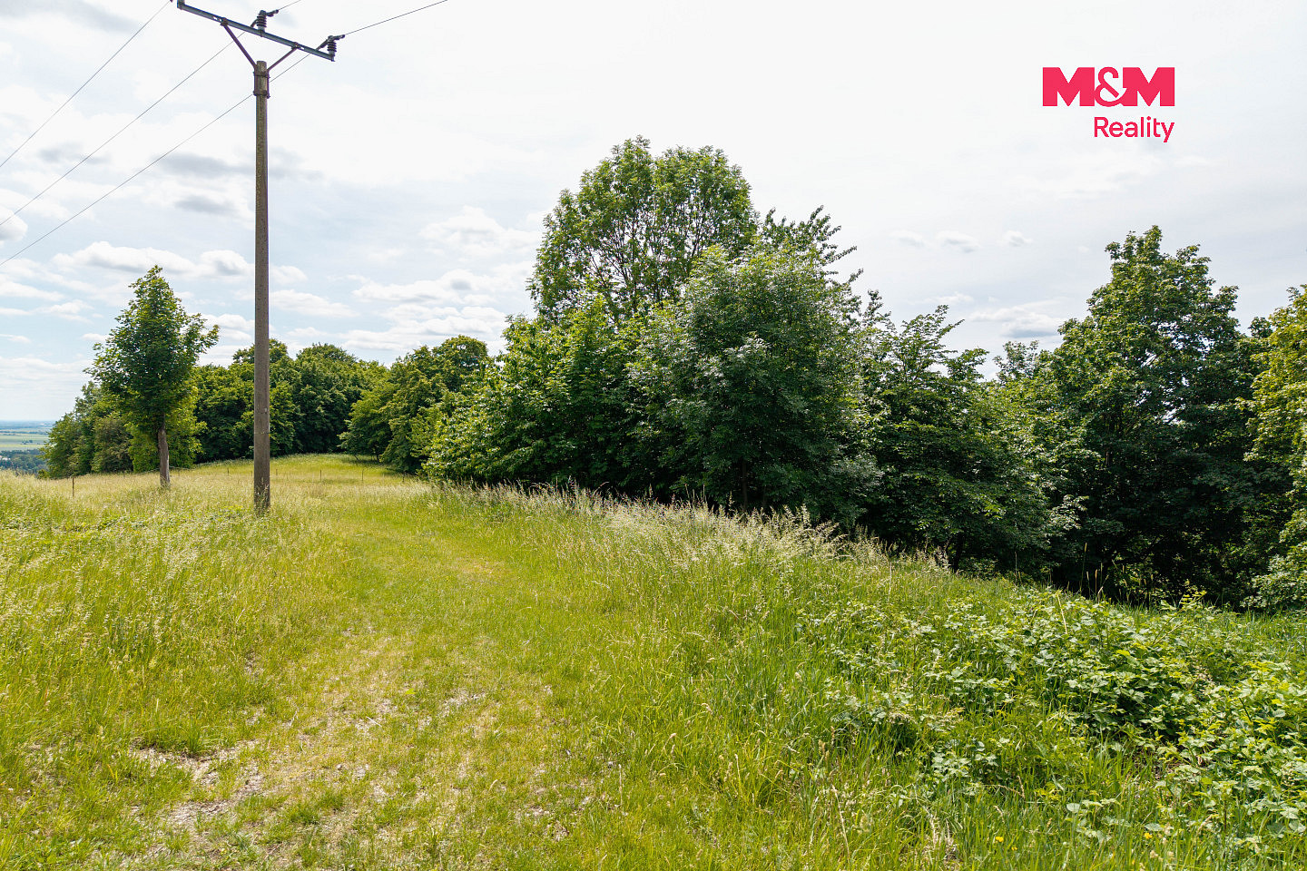 Prodej louky 13 358 m² – fotografie 3