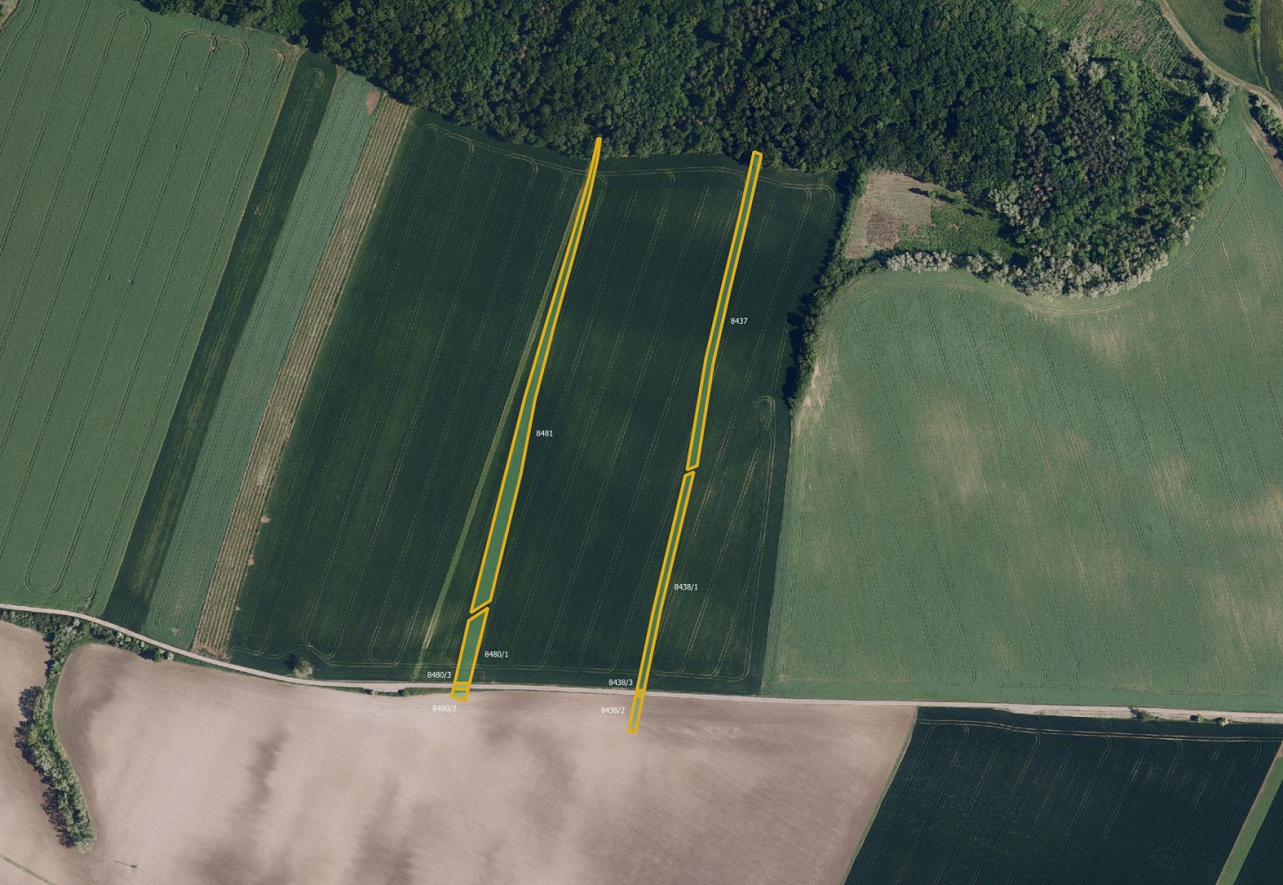 Prodej pole 68 043 m² – fotografie 3