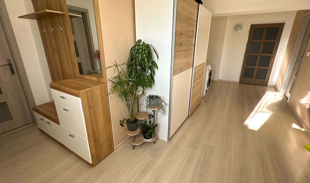 Prodej domu 300 m² s pozemkem 154 m², Tachov – náhled fotky 46