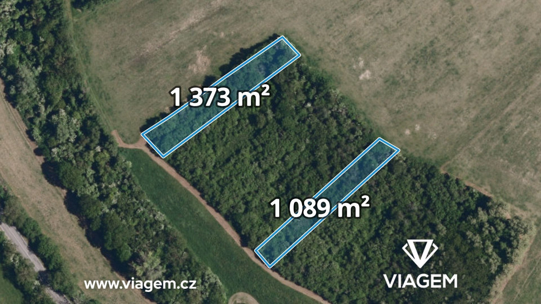 Prodej lesa 2 462 m²