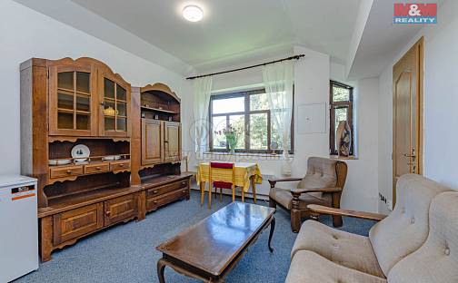 Prodej domu 386 m² s pozemkem 1 335 m², Rokytnice v Orlických horách, okres Rychnov nad Kněžnou