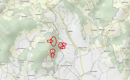 Prodej lesa 2 498 m², Libina - Nýřany