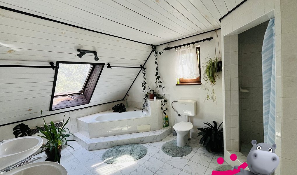 Prodej domu 446 m² s pozemkem 4 955 m², Černá Voda – náhled fotky 4