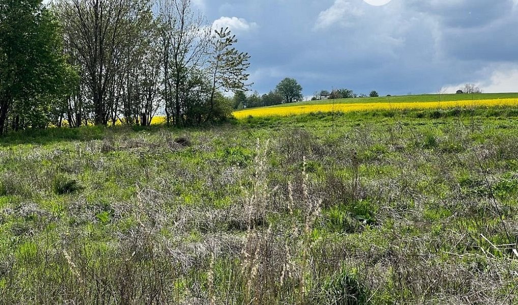 Prodej stavebního pozemku 3 978 m², Rudná pod Pradědem – náhled fotky 4