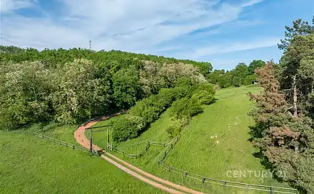 Prodej chaty/chalupy 176 m² s pozemkem 29 241 m², Mutěnice, okres Hodonín