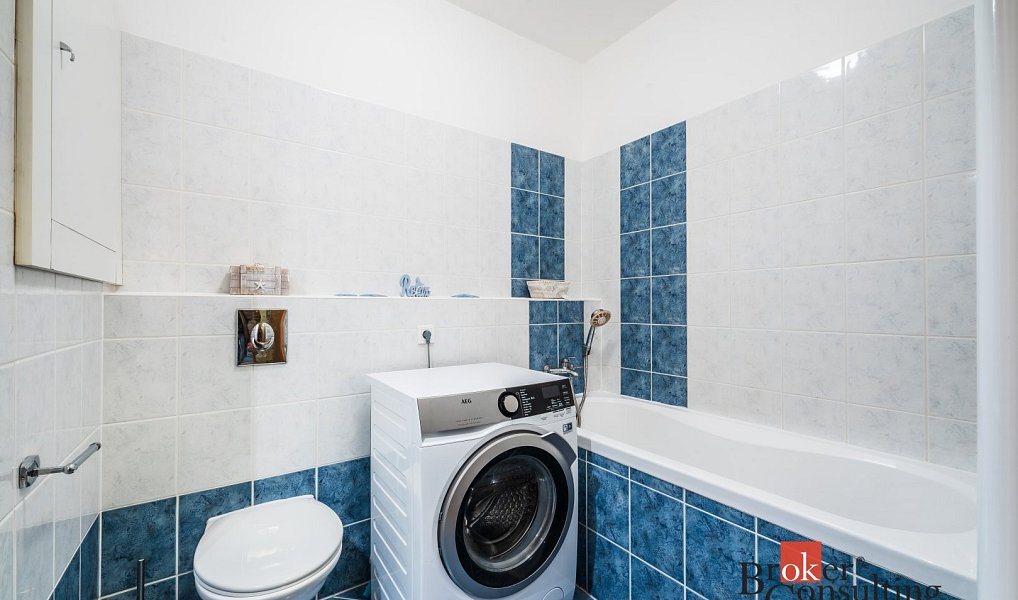 Prodej bytu 1+kk 40 m², Brno – náhled fotky 13