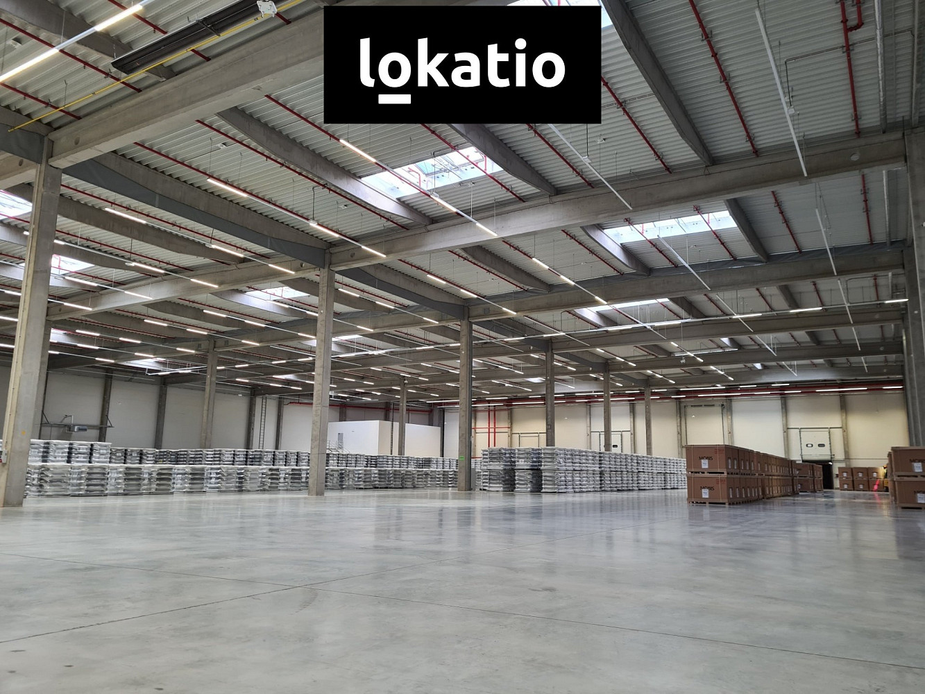 Pronájem skladovacích prostor 2 000 m² – fotografie 4