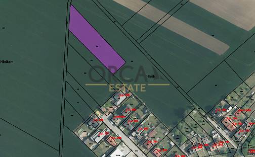 Prodej pole 3 057 m², Vřesovice, okres Prostějov