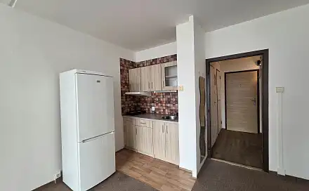 Pronájem bytu 1+kk 30 m²
