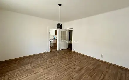 Pronájem bytu 1+1 44 m², Sladkovského, Plzeň - Východní Předměstí