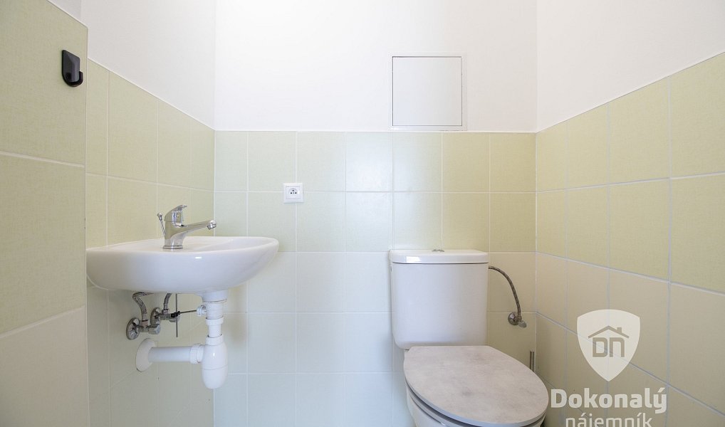 Pronájem bytu 2+kk 53 m², Milovice – náhled fotky 12