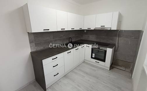 Pronájem bytu 2+1 50 m², Zdeňka Štěpánka, Most