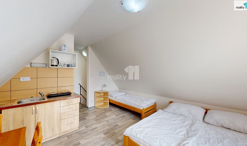 Prodej ubytovacího objektu 370 m², Loučná pod Klínovcem – náhled fotky 21