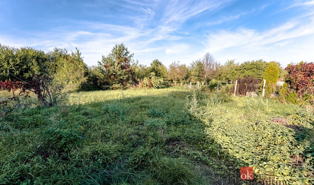 Prodej domu 160 m² s pozemkem 900 m², Vacenovice – náhled fotky 12