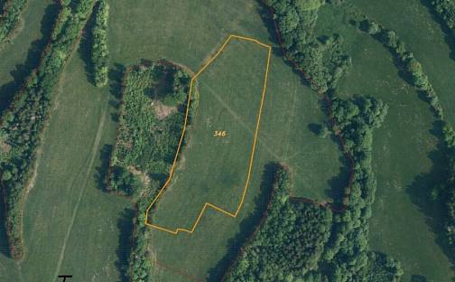 Dražba louky 18 839 m², Roztoky u Semil