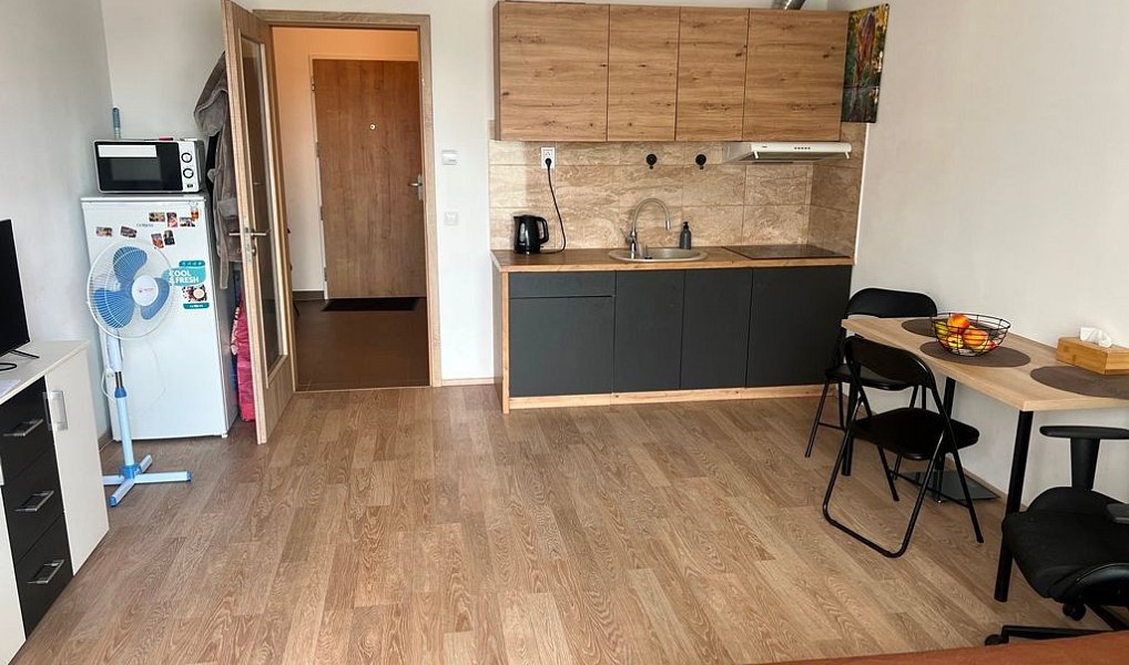 Prodej bytu 1+kk 42 m², Praha – náhled fotky 6