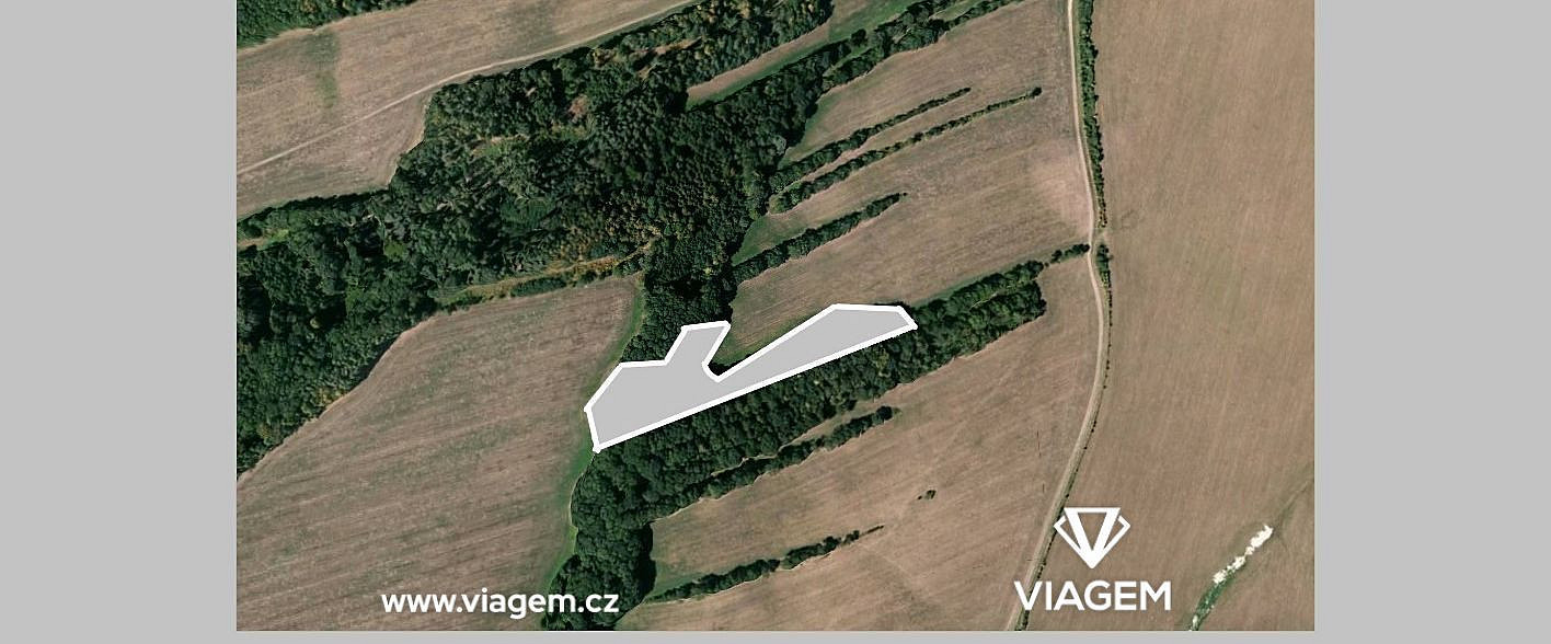 Prodej pole 163 m² – fotografie 3