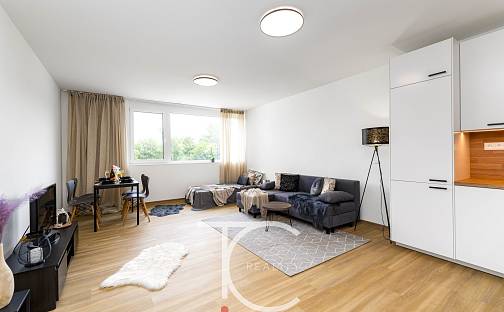 Pronájem bytu 1+kk 38 m², U Hájenky, Ostrava - Slezská Ostrava