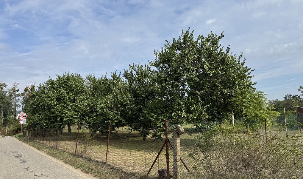Prodej zahrady 1 171 m², Valtice – náhled fotky 11