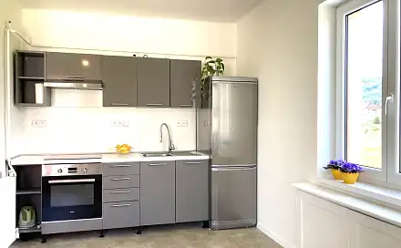 Prodej bytu 3+1 69 m²