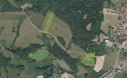 Prodej louky 13 638 m², Pačejov, okres Klatovy