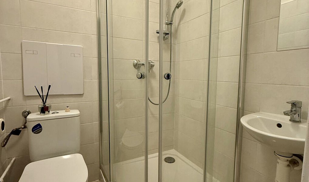 Pronájem bytu 1+1 28 m², Plzeň – náhled fotky 3
