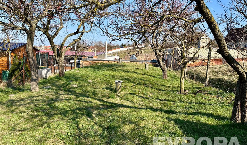 Prodej vinného sklepa v Hlohovci, Hlohovec – náhled fotky 10
