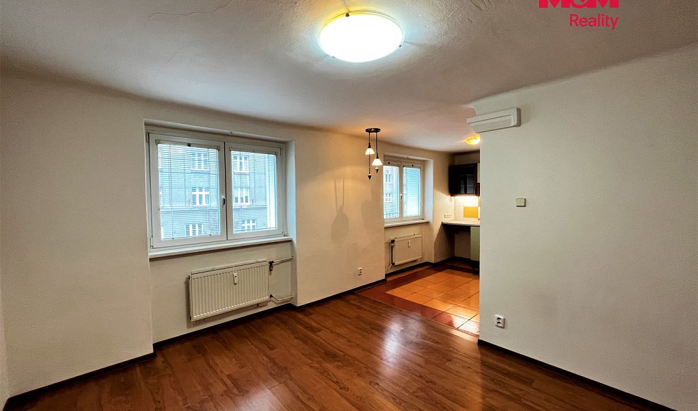 Pronájem bytu 1+1 30 m², Plzeň – náhled fotky 3