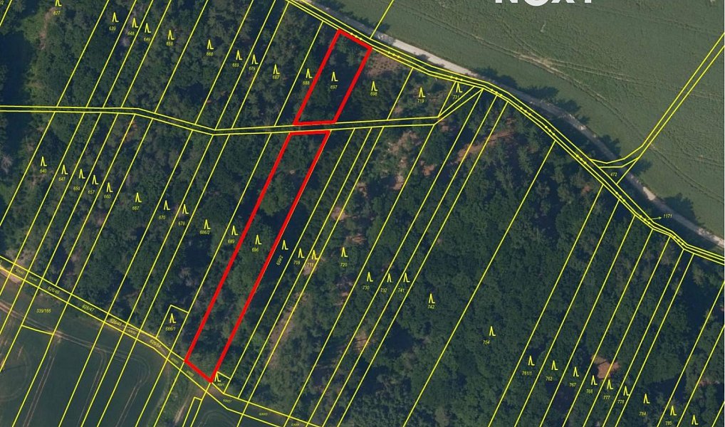 Prodej lesa 26 205 m², Třeboc – náhled fotky 2