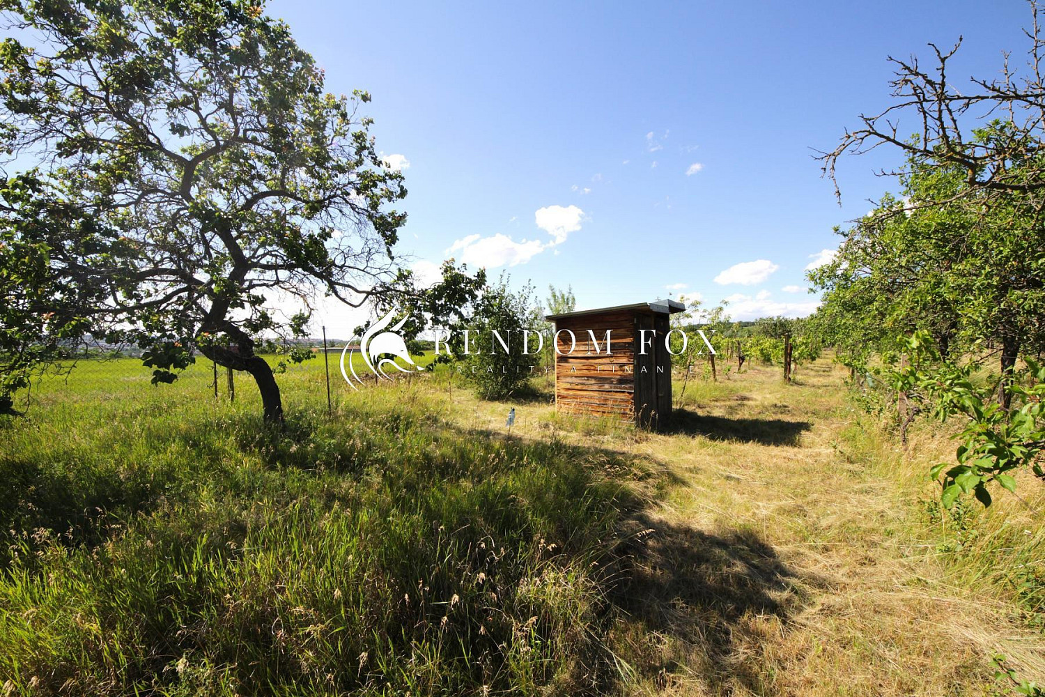 Prodej zahrady 2 196 m² — photo 3