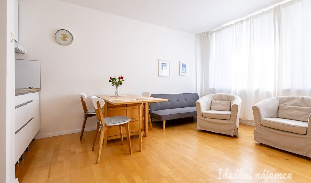 Pronájem bytu 2+kk 48 m², Praha – náhled fotky 8
