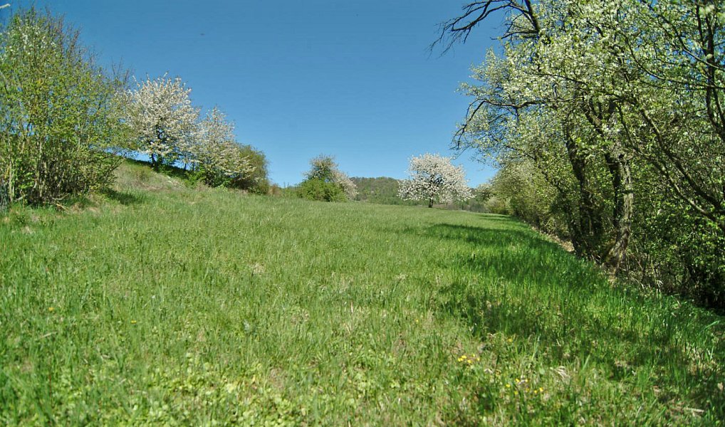Prodej louky 873 m², Kněžnice – náhled fotky 2