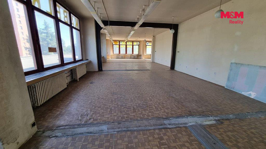 Pronájem obchodních prostor 554 m² – fotografie 3