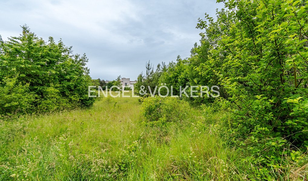 Pronájem komerčního pozemku 30 283 m², Tábor – náhled fotky 4