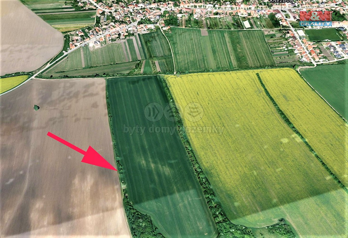 Prodej pole 1 981 m² – fotografie 3