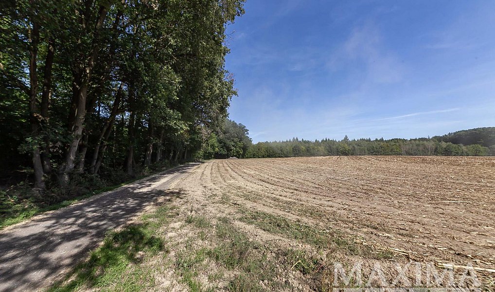 Prodej pole 3 636 m², Lhotky – náhled fotky 14