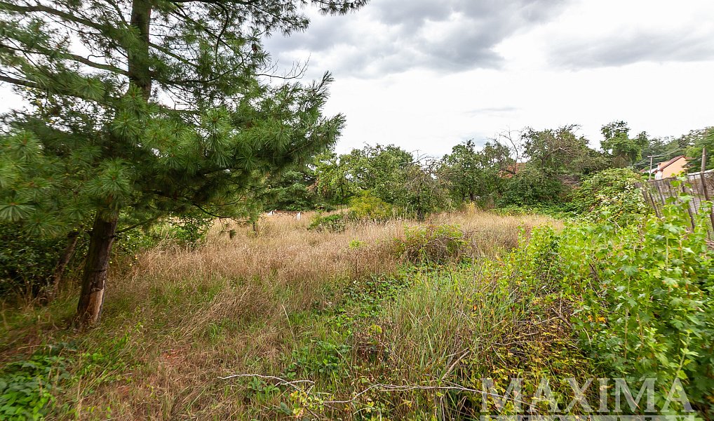 Prodej stavebního pozemku 3 823 m², Dolní Beřkovice – náhled fotky 7