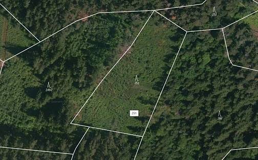 Prodej lesa 4 046 m², Přechovice, okres Strakonice