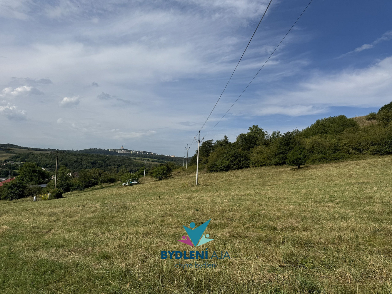 Prodej stavebního pozemku 20 000 m² — photo 4