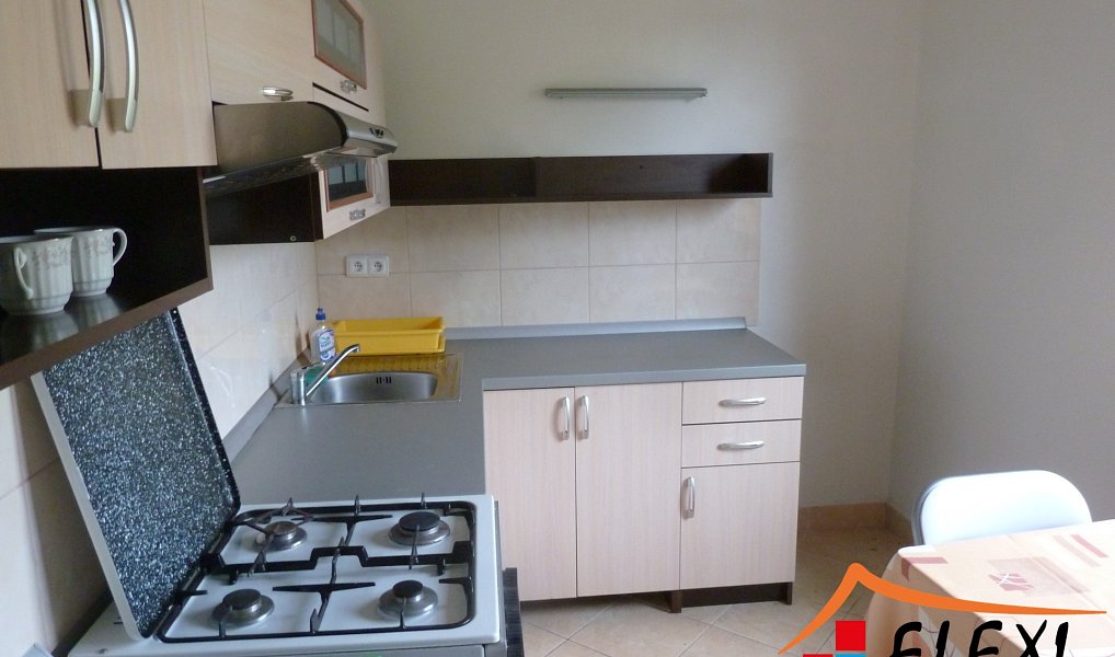 Pronájem bytu 1+1 39 m², Ostrava – náhled fotky 5