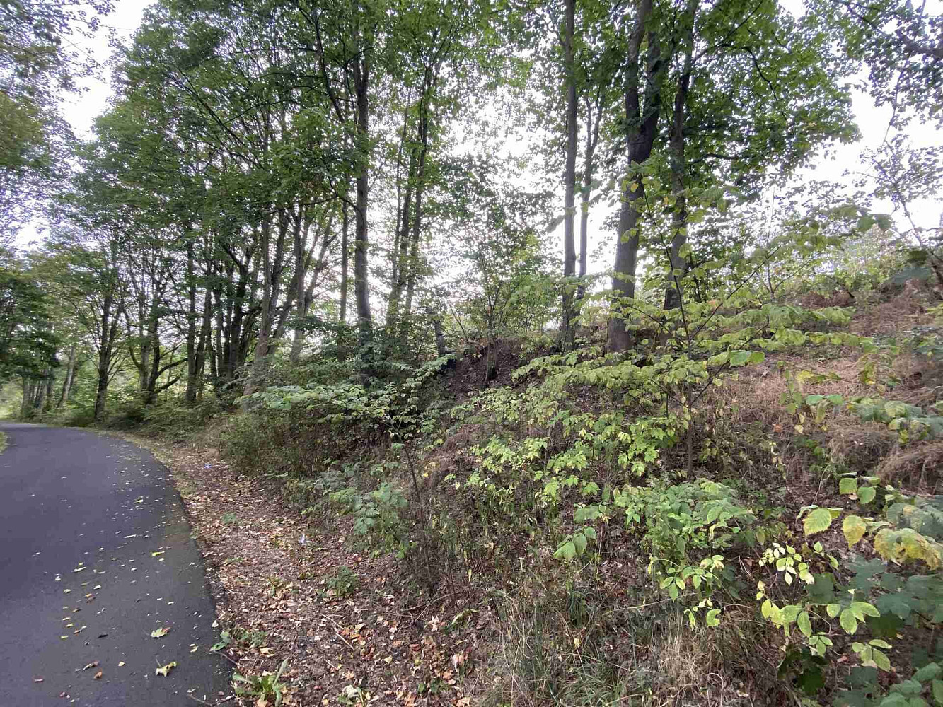 Prodej pole 1 197 m² – fotografie 4