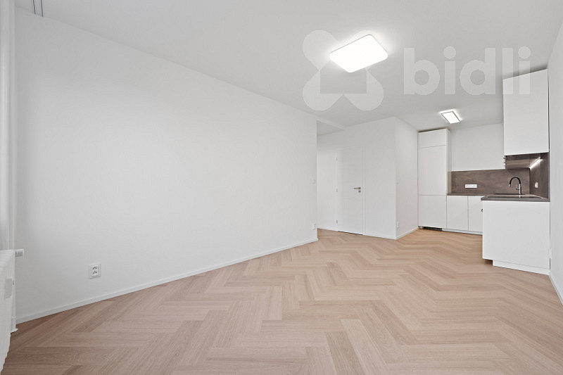 Pronájem bytu 2+kk 45 m²