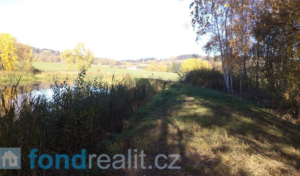 Prodej pozemku 1 225 m², Borovná – náhled fotky 3