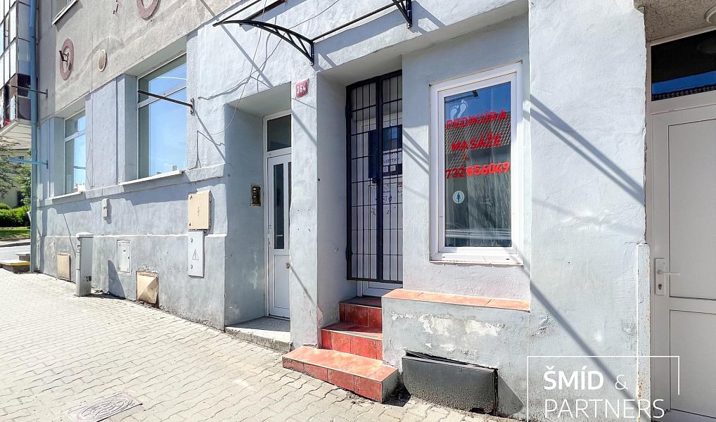 Prodej domu 540 m² s pozemkem 284 m², Zásmuky – náhled fotky 51