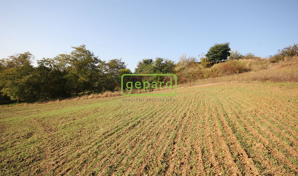 Prodej stavebního pozemku 3 885 m², Mokrá-Horákov – náhled fotky 2