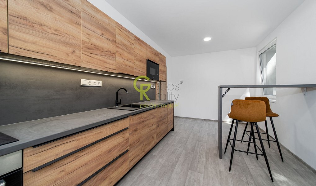 Prodej bytu 2+kk 48 m², Skorkov – náhled fotky 11