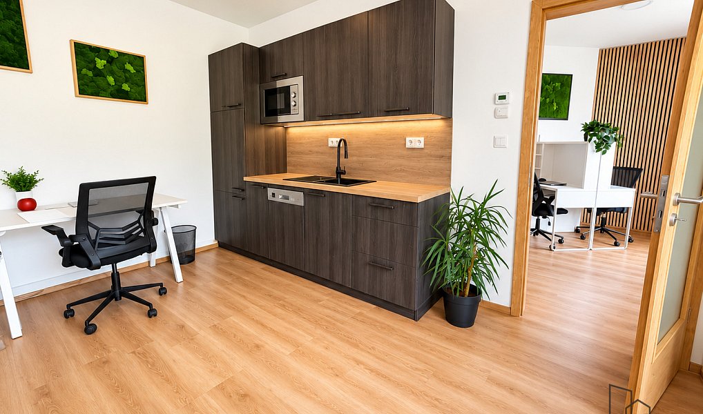 Pronájem bytu 2+kk 55 m², Olomouc – fotka 1 z 10